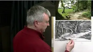 Forest Drawing Demo. Timelapse. #drawing #art #forestdrawing #artinstruction #artist