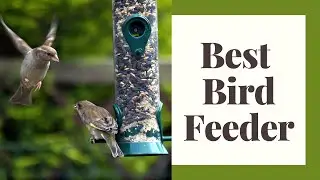 Choosing The Best Birdfeeders