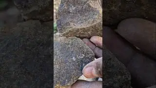 #metaldetecting #stone #youtubeshorts #roughstone #broken #nature #experiment #loosestone #shorts