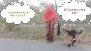  বাংলাদেশের কোটি কোটি মানুষের এই ভিডিওটা দেখা উচিত 🙏🙏🙏