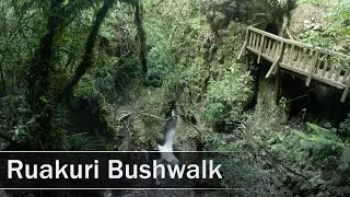 Ruakuri Bushwalk, Waitomo, New Zealand | 4K