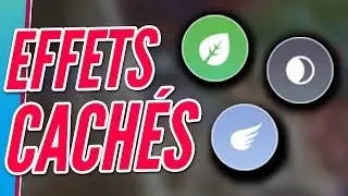 LES EFFETS CACHÉS DES TYPES - GUIDE POKÉMON ÉPÉE & BOUCLIER