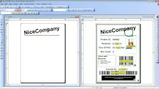 NiceLabel Pro Label Design  Niceware Webinar