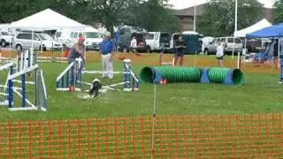 Jean and T June 2010 Jumpers.AVI