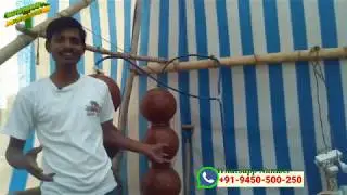 Hydroponic Surface Cooling System