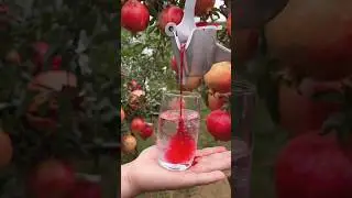 Pure natural pomegranate 🍅#226#shorts #fruitworld .....