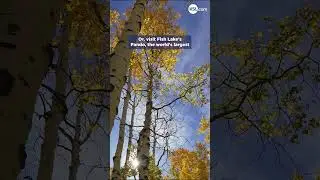 Top 10 Easy Fall Hikes in Utah
