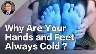 Cold Hands and Feet? The Four-Dimensional Approach to Warm Up and Heal