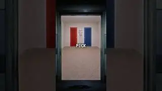 Which Door Did You Pick?