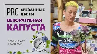 Капуста в букетах | Брассика прелестна во флористике, ведь она чем-то похожа на розу