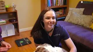 Local Mobile Vet - Home Visit