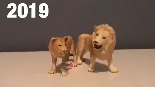 Schleich 2019 lioness!!🦁