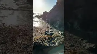 Secret location #agate #oregoncoast #rockhounding #agatehunting #pnw