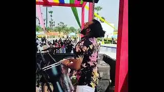 Bunny Percussionist &bull; Dj With Percussion