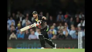 Glenn Maxwell 70 runs in 31 balls against newziland in 3rd T20 match Highlights 2021 ||