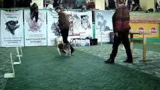 MOV03715