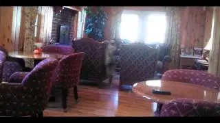 Real Ghost Photo's - Scary Ghost Pictures
