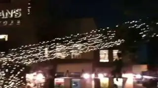 Vromans Bookstore Christmas
