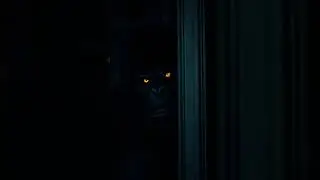Creature With Glowing Eyes Stares Into a Window at Night #bigfoot #nature #scary #wildlife