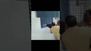 Cat Rescue Call Kerala Fire Service | Every life Is Precious Salute Kerala Fire Service #cat #india