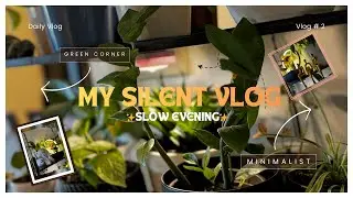 Vlog # 2✨My silent vlog✌️Dream plant corner 🍀Propogation and repotting🪴Love toddler #viral  #Daily 