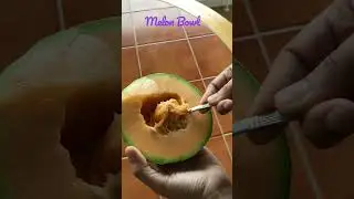 Melon Bowl 🍈| Fruit Bowl #youtubeshorts #breakfast #fruits #healthyrecipe ✅