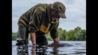 Monster Carp Alert!  Laney's island Adventures part 7.
