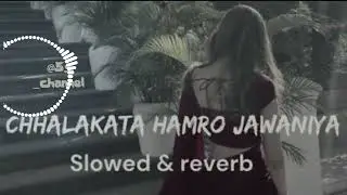 छलकता जीवनीय Song : Chhalakata Hamro JawaniyaPawan Singh, Kajal Raghwani #old #treding #song 