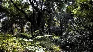 Lake George conservation area hike and video