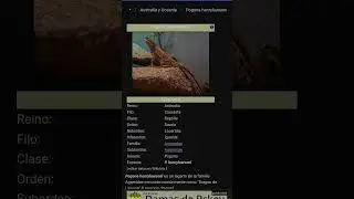 pogona