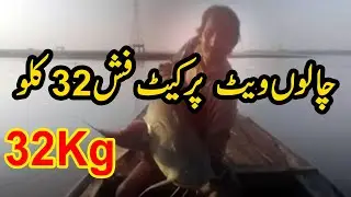 Lahori group fish hunting