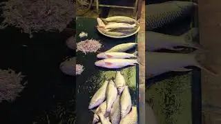 MADE IN KISHOREGANJ | #কিশোরগঞ্জ #foryou #fish #trending #fishbazar #fishcutting #vairal #1million