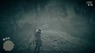 Treasure Maps & Moonshiner Role in Red Dead Online