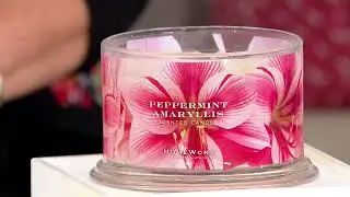 HomeWorx by Harry Slatkin S/2 Peppermint Amaryllis 18oz Candles on QVC