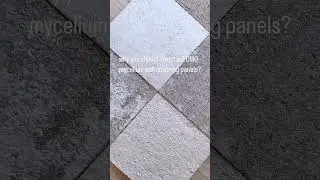 4 Reasons Why You Should Invest In Fumo Panels
