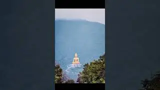#daophat