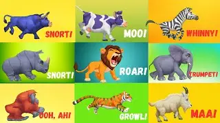 Jungle ABC Animal Sounds Song for Kids | Learn Animal Names & Sounds