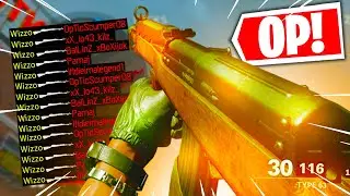 THIS IS THE *BEST* GUN IN BLACK OPS COLD WAR! 
