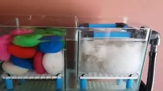 DIY overhead sump filter!