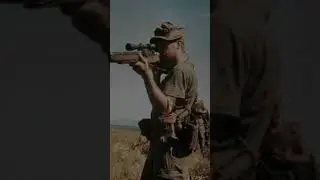 WAR HEROES - pt.1 - Carlos Hathcock #shorts #sniper #army