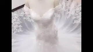 gorgeous mermaid lace long tail wedding dress