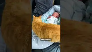 What a special bond 🥹