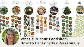 How To EAT LOCALLY and SEASONALLY by Carmen Lamoureux