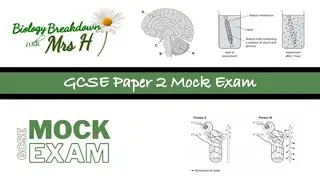 GCSE AQA Paper 2 Mock Exam