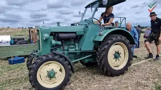 🚜 Oldtimer-Treckertreffen | Historischer Dreschtag in Witten-Stockum - Traktoren HLanzFreunde🌾✨