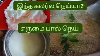 🏠Home made natural butter and ghee from 🐃 buffalo milk🥛in Tamil|buffalo ghee|ghee recipe|butterrecip