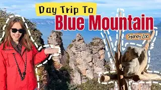 🌄 Blue Mountains Day Tour from Sydney 🇦🇺 | Sydney Zoo, Scenic Views & Wildlife Adventure!