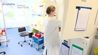 Monocyte Activation Test (MAT)