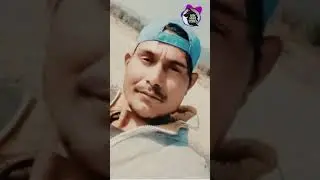 Real Tiger Attack Man in Forest | 24 Dec 2022 | News #TigerAttack #Tiger #shorts