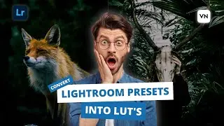 Easily Convert Lightroom Presets into VN Luts for Video Editing